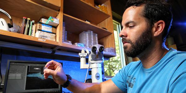 Graduate student working in lab at South.